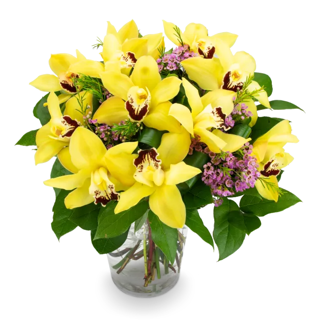 Bouquet of yellow orchids